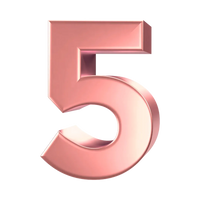 Number 5 (Plain)