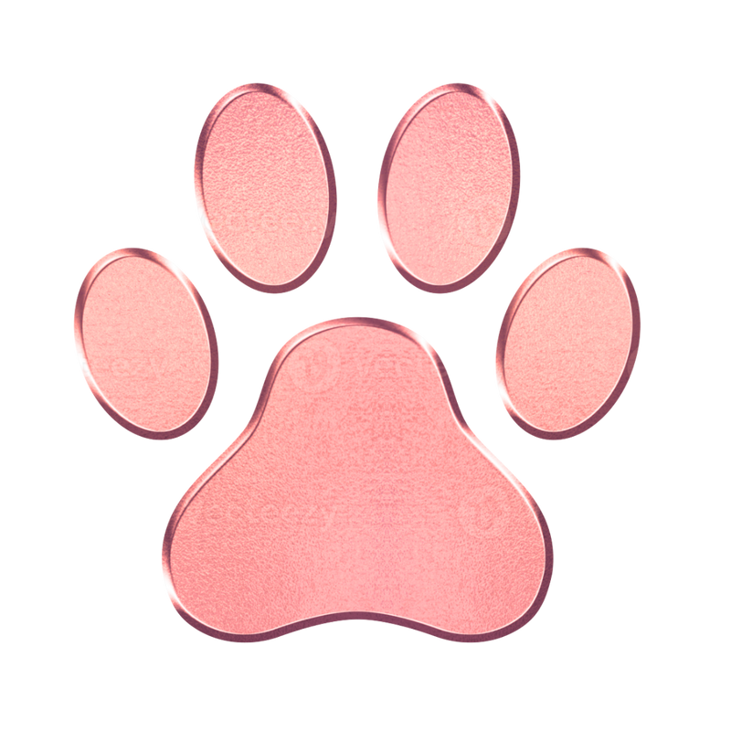 Paw (Plain)