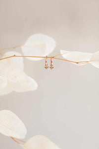 Charmed Hoops