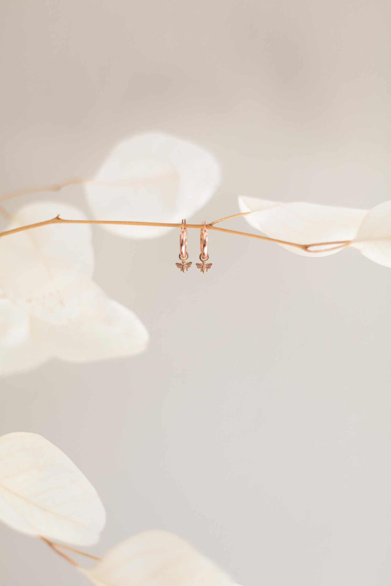 Charmed Hoops