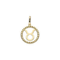 Star Sign Charm