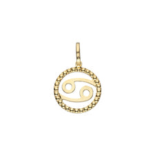 Star Sign Charm