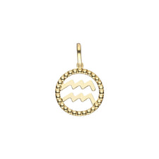 Star Sign Charm