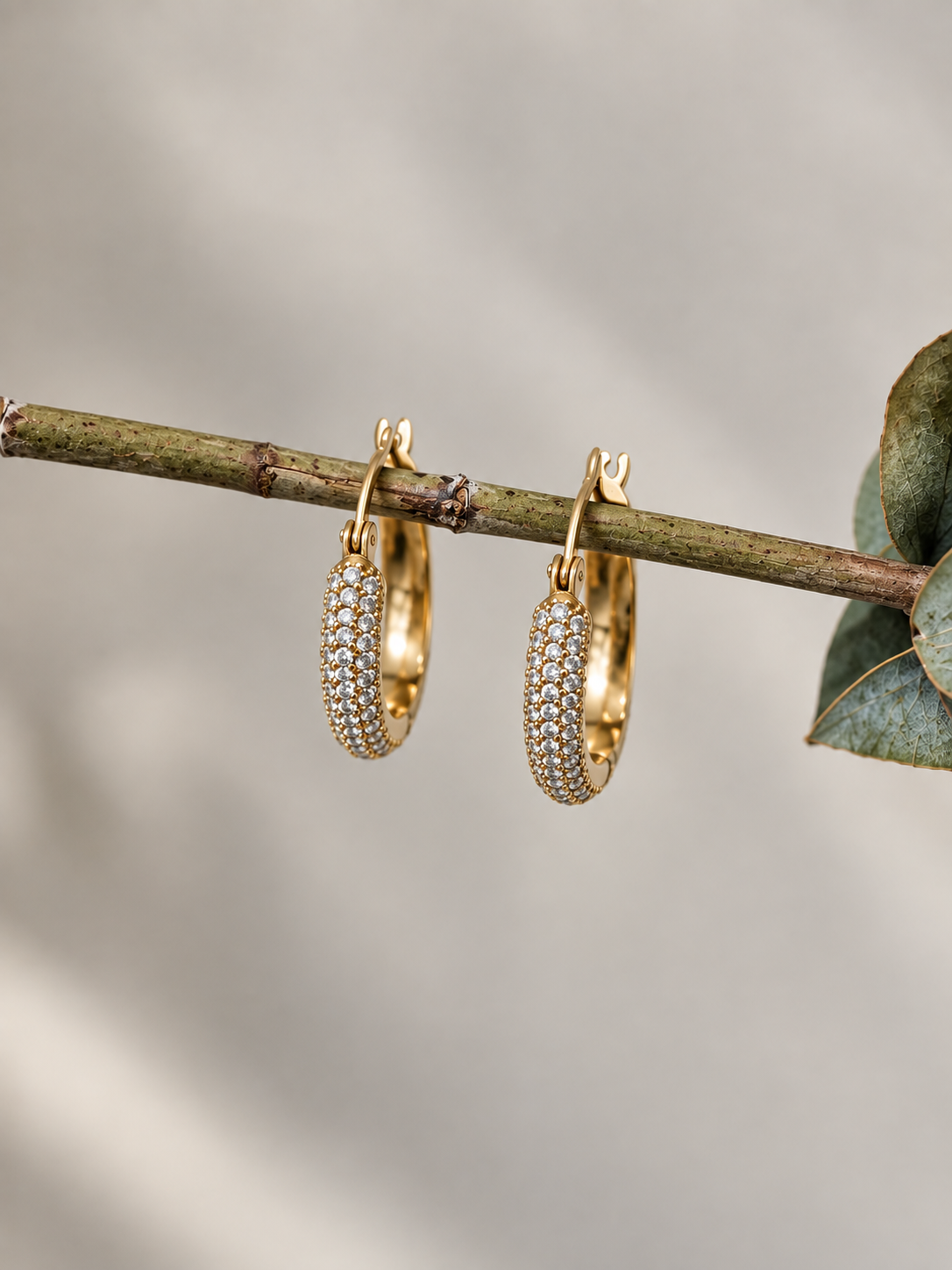Pave' Hoops